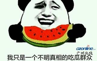 吃瓜群众指什么意思